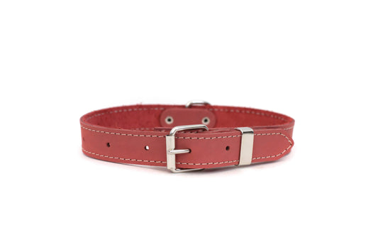Traditional Style Soft Leather Euro Dog Collar